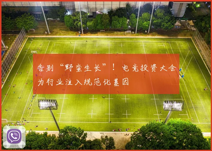 告别“野蛮生长”！电竞投资大会为行业注入规范化基因